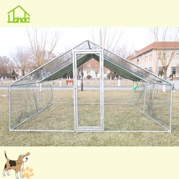 Chickens ducks and geese live in a nest