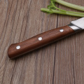 Professional 8 inch Kitchen Stainless Steel Chef Knife