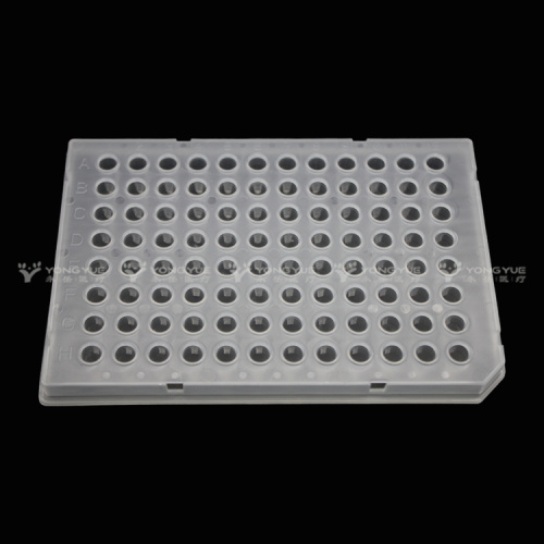 Bio-Rad-Echtzeit-PCR-Platten 96-Well-Semi-Rocked