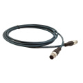 Shielded D-Code Straight M12 Male Cat.5e Cable