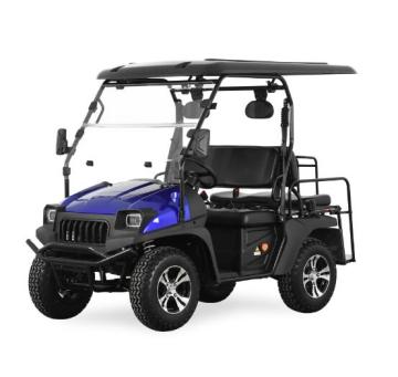 buggy covers for golf carts