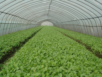 HOT SALE PLASTIC SUNSHADE NET