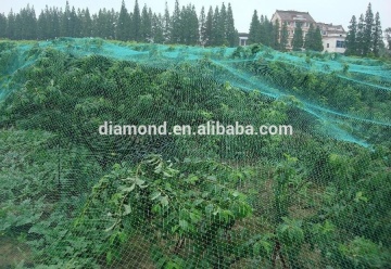 Selling anti-bird mesh/colored anti-bird screen netting/plastic screen/screen/fabric