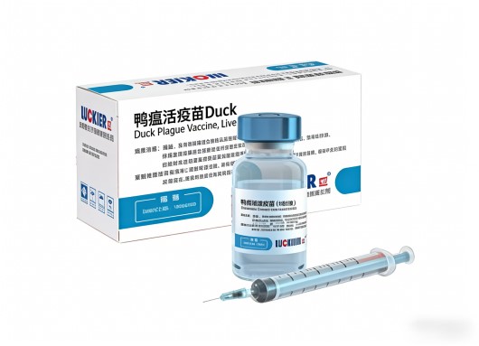 Vaccin contre la peste du canard plus chanceux, en direct Luckier-Duck Plague Vaccine,Live
