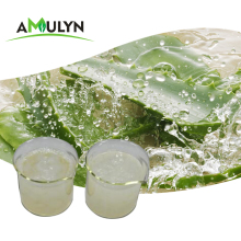 Food Aloe Vera Gel Cubes for jelly drinks
