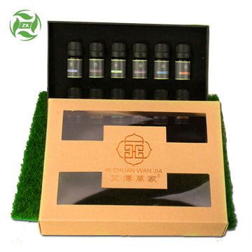 Aromatherapie-Geschenkset für ätherische Öle 6 Flaschen / 10 ml