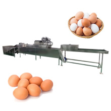Egg Candling and Washing Machine: Small Egg Washing Machine