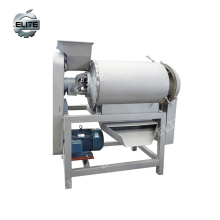Automatic Fruit Puree Making Machine - Apple Pulping Machine