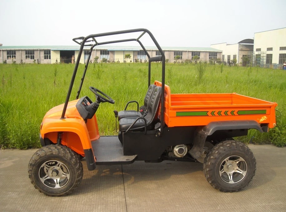 Terrian 5kw Powerful Electric Farm Cart Chinese UTV for Sale