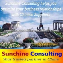 professional translation service / Translating and Interpreting Service