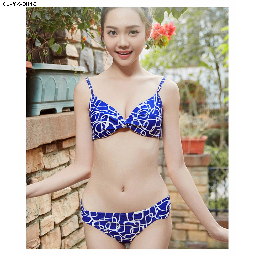 Fashion High Quality Leopard Steel Wire Ladies Panties and Underwear Set Sexy Lingerie