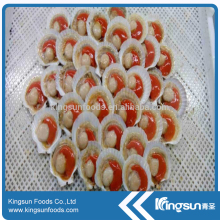 IQF Frozen Seafood Sea Scallop On Sale