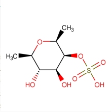High Purity Food Fucoidan from Fucus vesiculosus Extract Powder 95% Fucoidan