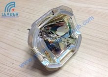 Ushio Original Projector Lamps For Poa-lmp116 Poa-lmp104 Nsha330