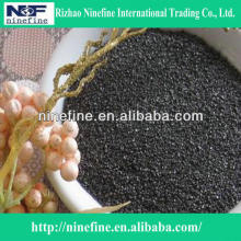 graphited petroleum coke