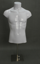 plastic half body torso male mannequins