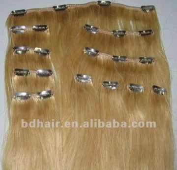 Human Hair Clip in Hair Extensions