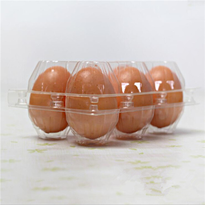 6 Cells Chicken Eggs Tray