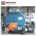 Low Price Automatic Gas Oil Fuel Steam Boiler