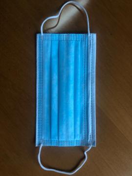 Face Mask 3Ply Earloop