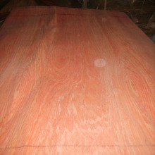 FSC Bintangor veneer