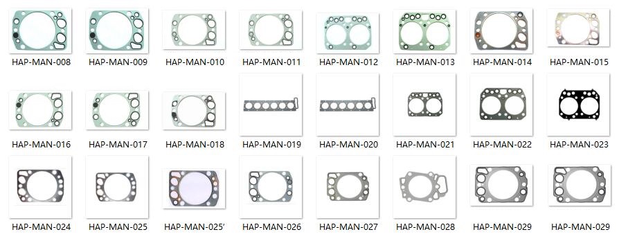 Man Head Gasket