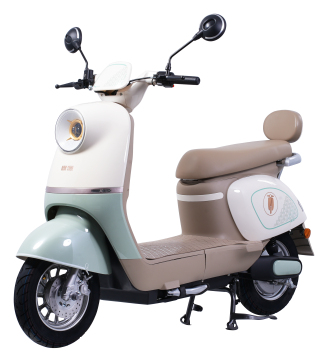 Electric Motorcycles: 1000W OPAI Motos - Streetbike, Minibike, Pocketbikes & Offroad Motorcycles