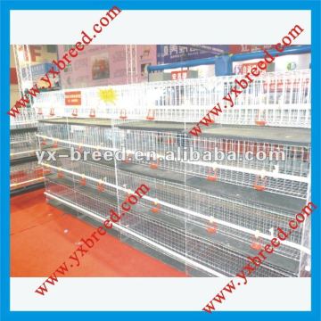 Factory sale broiler cage