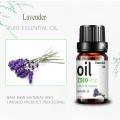 Private Label 100% reines Lavendel ätherisches Öl 10ml