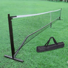 Portable pickle ball post with net