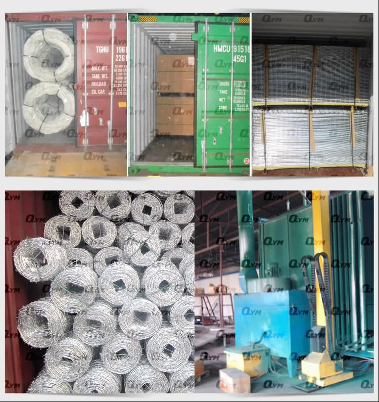 Galvanized PVC Coated Wire Mesh Rolls Supplier