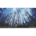 Speciale mosaico artistico foresta stellata blu