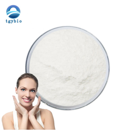 Best Price L-glutamic acid L Glutamic acid Powder