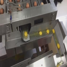 Automatic Egg Seperating Machine/Yolk and Egg Liquid Breaker Machine