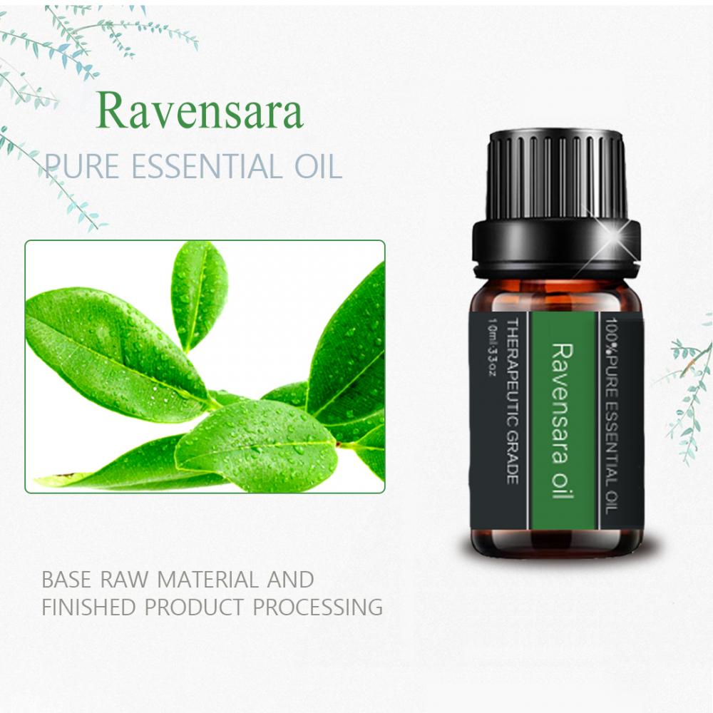 Aceite esencial de Ravensara orgánico 100% puro para aromaterapia