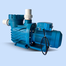 Filter Preter Preting Preting Plater Pool Pool Pump