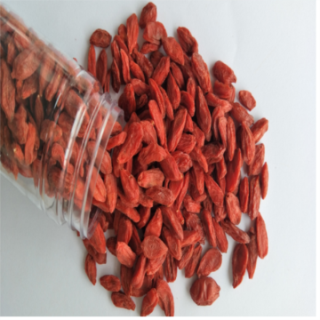 New crop Dried Organic Low residues Goji /wolfberry