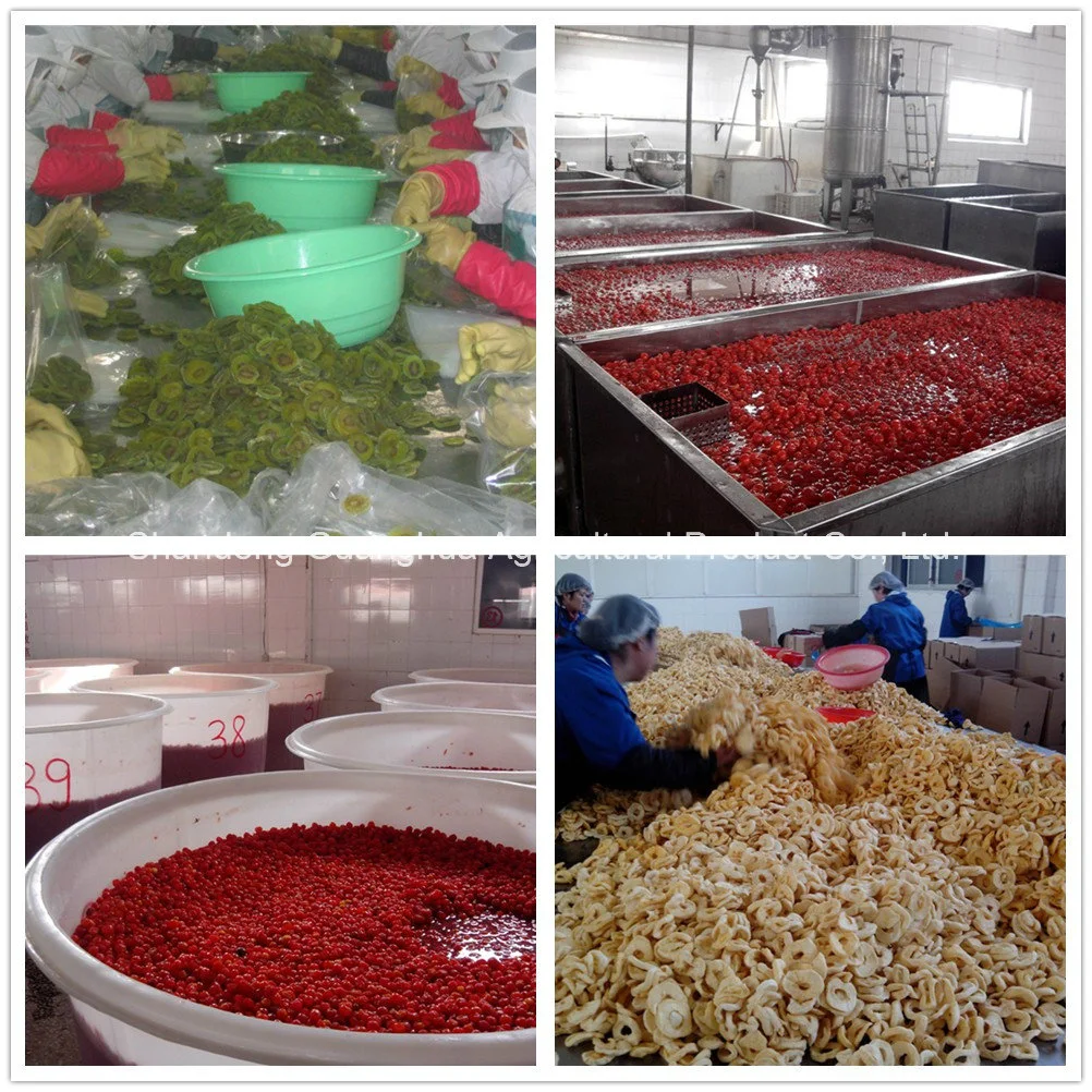 Hot Sale Dried Cherry From China