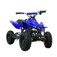 Kids' Mini Gas-Powered ATV: 50cc Quad ATV 4-Wheeler Quad Bike 49cc