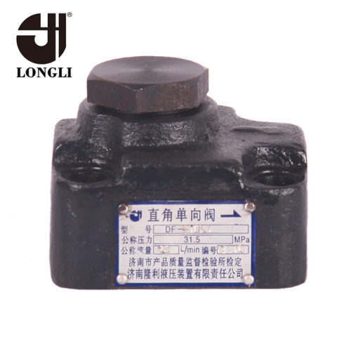 Straight Plate Cast Iron Non Return Check Valve