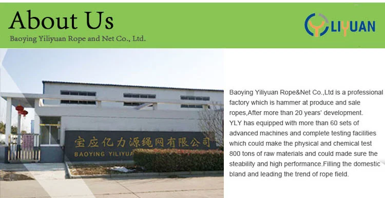 (YILIYUAN) 10mm Water Resistant Polyester Nylon Rope for Packaging