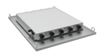 The best quantum grow light 2023