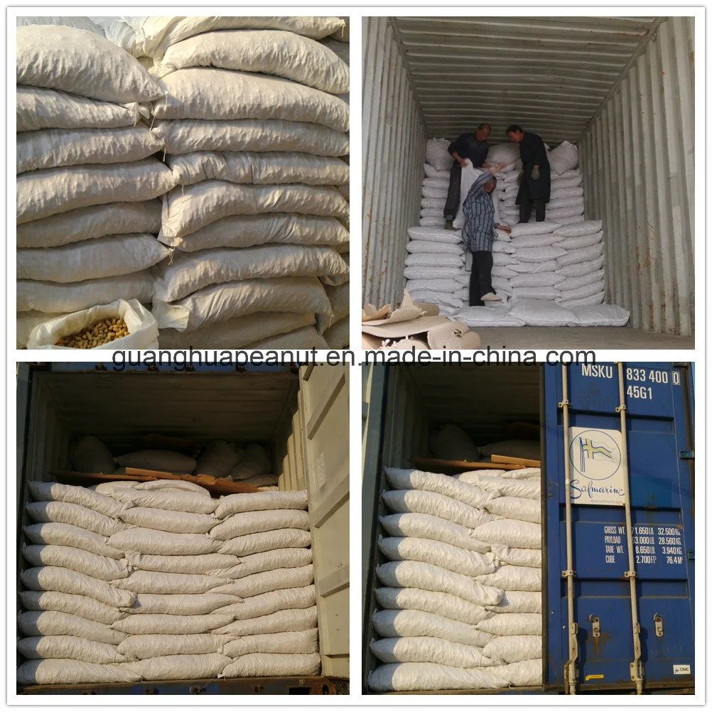 2020 New Crop Factory High Quality Peanut in Shell