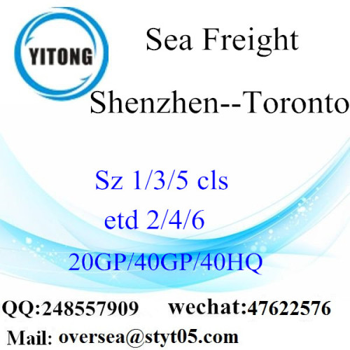 Shenzhen Port Sea Freight Shipping To Toronto