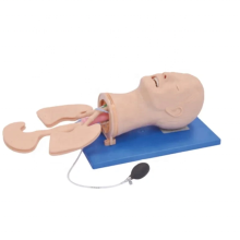 DARHMMYH Full-featured Airway Management Intubation Manikin for Emergency Training