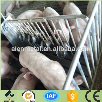 porkling use nipple type water drinker