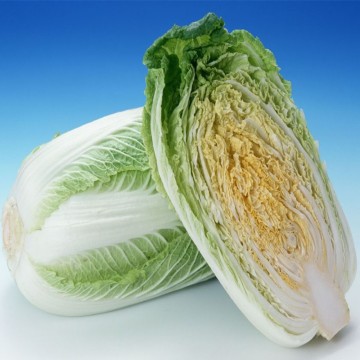 Delicious fresh Chinese cabbage natural cabbage