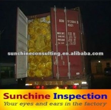 Container Loading Inspection / Third Party Inspection Service