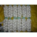 1kg Small Bag Pure White Garlic