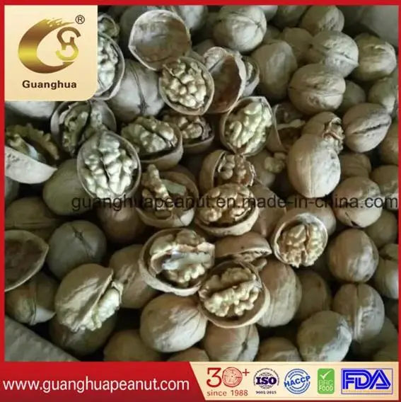 Hot Sale Walnut Kernels From China